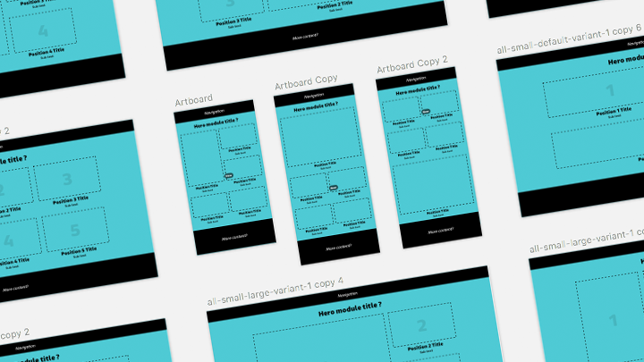 Test Wireframe Overview